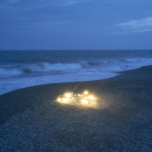 公车上拨开岳双腿进入电影
