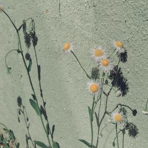 公车上拨开岳双腿进入电影
