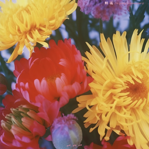 公车上拨开岳双腿进入电影
