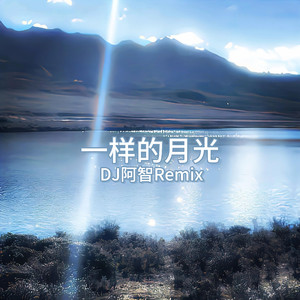 公车上拨开岳双腿进入电影
