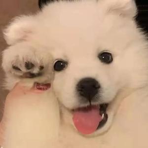 公车上拨开岳双腿进入电影
