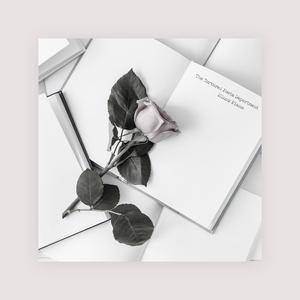 公车上拨开岳双腿进入电影
