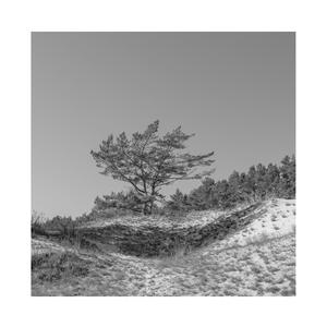 公车上拨开岳双腿进入电影
